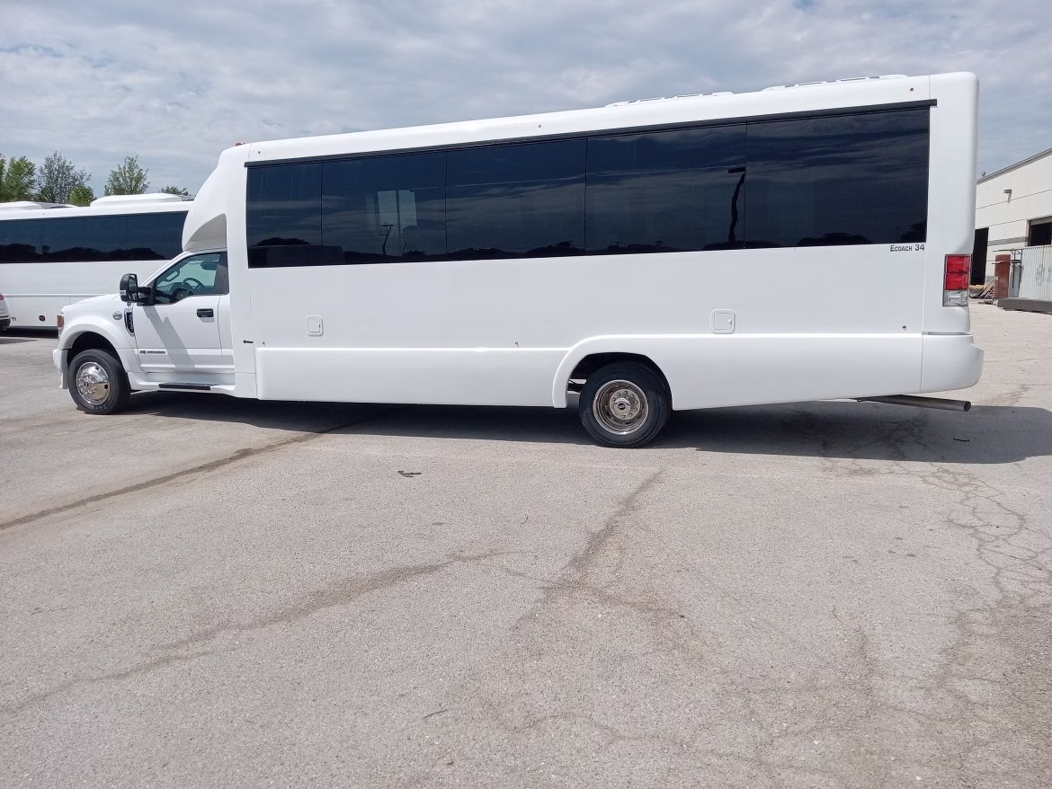 Turtle Top Buses