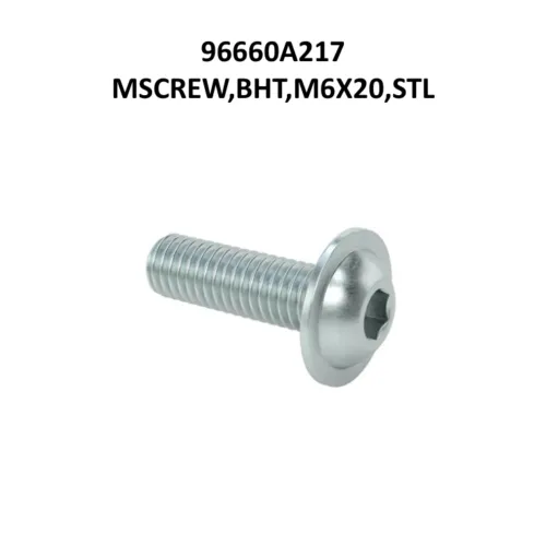 MSCREW,BHT,M6X20,STL